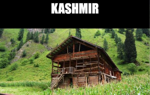 ホテル Kashmir Hill Town Srīnagar エクステリア 写真